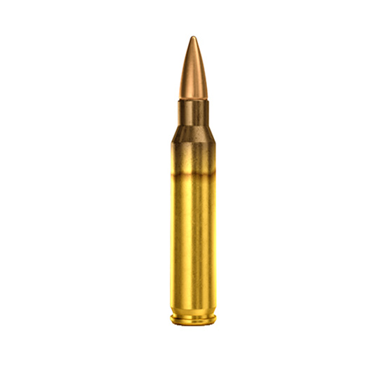 SB 5.56 55GR FMJ 20/50 - Ammunition